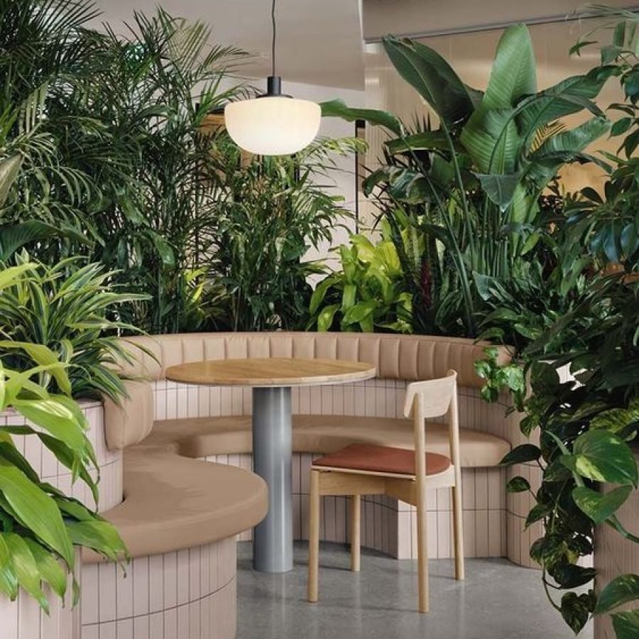 161f5920bbbd43bf0a6d2d01d438756a_1